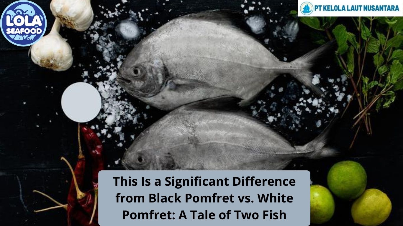 This Is a Significant Difference from Black Pomfret vs. White Pomfret: A Tale of Two Fish